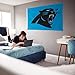 Rico Industries NFL Football Carolina Panthers Standard 3' x 5' Banner Flag