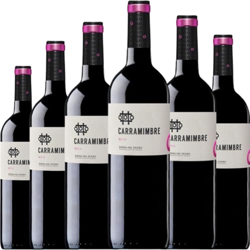 Carramimbre Roble Magnum, vino tinto Tempranillo en gran formato con crianza breve en roble, aromas frutales y perfil equilibrado para compartir en cualquier ocasión.| 6 botellas