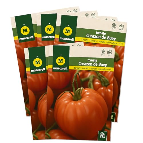 Semillas tomate Corazón de Buey DECOALIVE para recuperar el sabor tradicional del tomate 2
