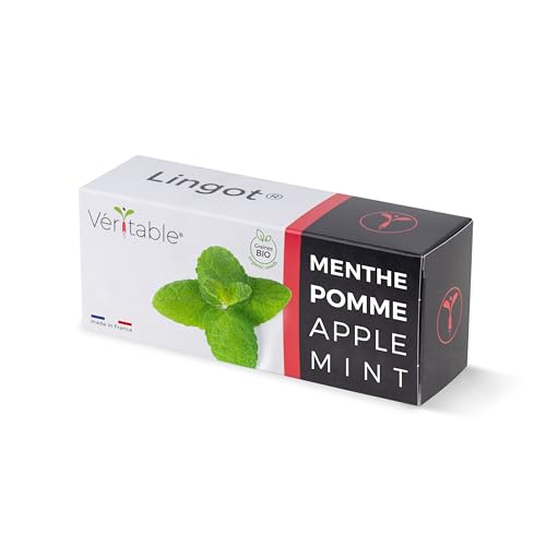 Lingot® Menthe Pomme - Compatible Potager d'Intérieur Véritable® et Exky® - Recharge prête à l'emploi - Substrat avec Graines Intégrées