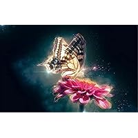 光る蝶 Amazon | Dreamy 光る蝶 大人用 ジグソーパズル 1000ピース
