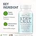 New Life Stem Cell 875mg, Anti Aging, Stem Cell Promoter, 60 Capsules 60 Capsules