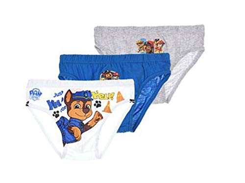 Pat' Patrouille Boite DE 3 Slips