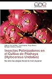 solar panel amazon us  Insectos Polinizadores En El Cultivo de Pitahaya (Hylocereus Undatus): No sólo las abejas llevan la miel al panal