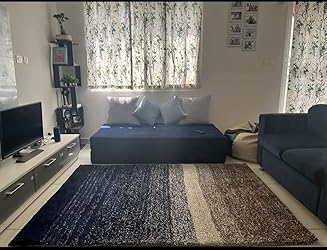 Image of F & B Rugs Luxurious Luck high Density Thick & Soft Shaggy Carpet Microfiber 2 Inch Pile Height 10 x 14 feet