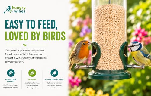 Granuels d'arachides de qualité supérieure pour oiseaux de la nature - 6