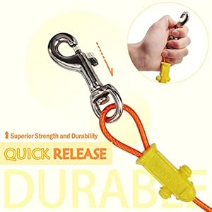 Petest reflective tie out cable with crimp cover for large dogs up to 90 pounds 40 feet   cucciolini doodles