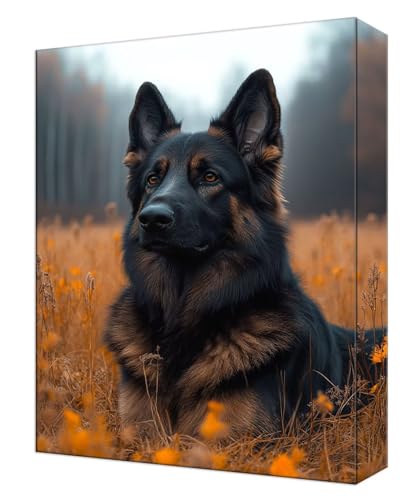 数字油絵 森 犬 ペイントバイナンバーキット キャンバスに 初心者向け (フレームレス) 3本の絵筆付き 抗?帆布 DIY アクリル 子供 Paint by Numbers キット 大人用クラフト 簡単ペイント ?公室 ホームウォールデコレーション ギフト