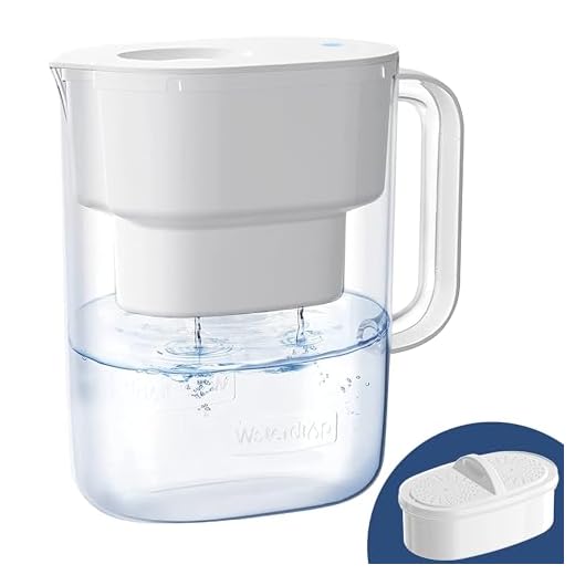 Waterdrop 10-Cup Water Filter Pitcher