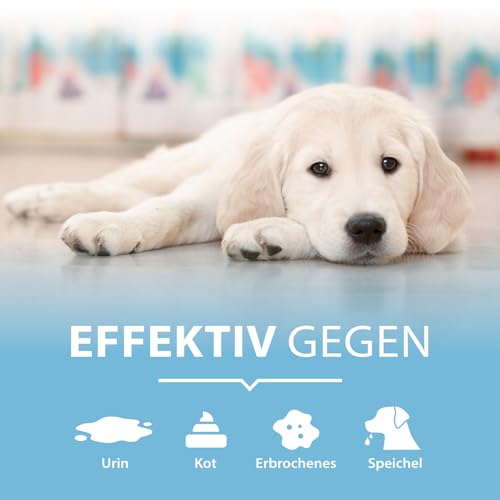 Enzymreiniger Hundeurin 750 ml – extrem stark gegen Hundepipi, Uringeruch und Flecken – biologisch, tierfreundlich, geruchsneutral – für Sofa, Teppich, Textilien, Auto, Hundebett & Boden – PIPI-Weg