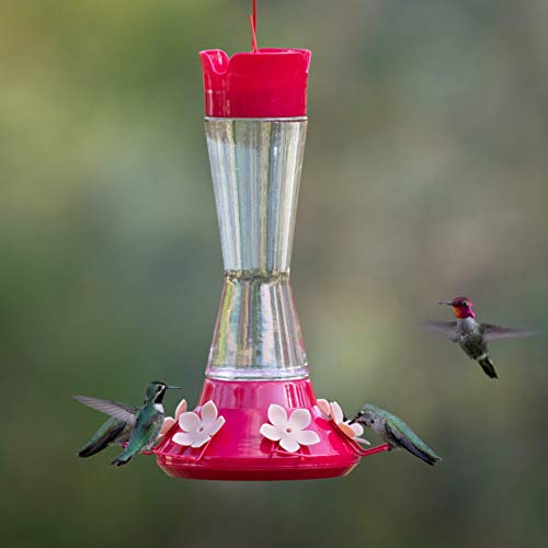 Perky-Pet 9202-2 Top-Fill Favored Pinch-Waist Glass Hummingbird Feeder – 20 oz, , Red