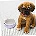 BESTonZON Heated PET Water Bowl Ceramic Cat and Dog Water Dispenser for Indoor and Outdoor Use 350ml for Winter and Pets
