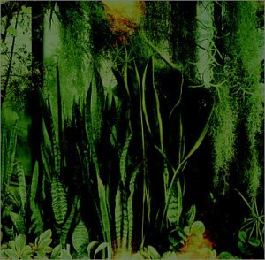 Woodwater [Audio CD] The Promise Ring; Dan Didier; Davey vonBohlen; Jason Gnewikow; Scott Schoenbeck and Stephen Street