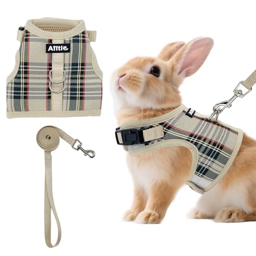 AIITLE �o�j�[�n�[�l�X�ƃ��[�V���Z�b�g �G�X�P�[�v�v�v���[�t-�}�W�b�N�e�[�v�f�U�C���A�y�ʊi�q�����b�V���p�f�B���O�A��������Ȃ� �`���[�N�Ȃ� �q�� �L ���b�g ���X �t�F���b�g�A�A�E�g�h�A �E�H�[�L���O �����j���O�A�x�[�W�� S