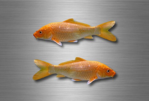 Akacha 2X Sticker Adesivi Adesivo Pesca pescadore