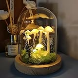 DIY Mushroom Lamp Kit β Handmade Mushroom Night Light with Glass Dome, Terrarium-Style Jungle Atmosphere Night Light with Faux Moss & Wooden Base for Bedroom, Home Decor, Gifts for Women & Kids