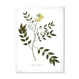 DesignQ Vintage Botanicals XVIII - Arte de pared con marco tradicional