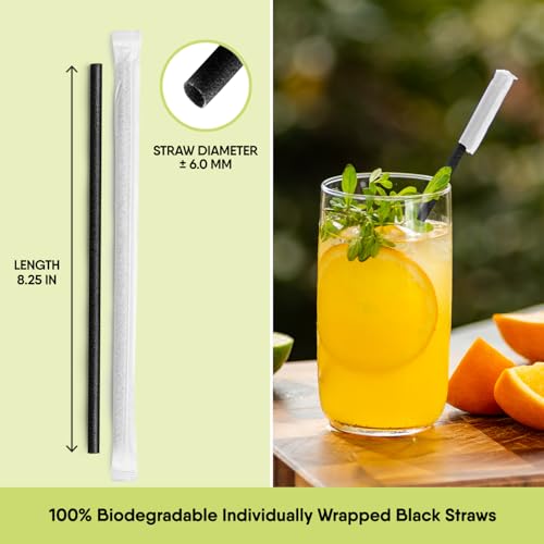 Image of The Veggie Straws - 300 PCS of 8.25 Inches Individually Wrapped Black Biodegradable Straws - Made of Vegetable Fibers, Best Environment Friendly Drinking Straws for Hot and Cold Beverages