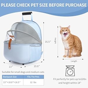 Small-Dog-Carrier-Backpack-Breathable-Travel-Bag-for-Small-Dogs-Lighter-Pet-Backpack-for-Outdoor-Hiking-Picnic-Camping-Blue - Cucciolini Doodles   Small-Dog-Carrier-Backpack-Breathable-Travel-Bag-for-Small-Dogs-Lighter-Pet-Backpack-for-Outdoor-Hiking-Picnic-Camping-Blue
