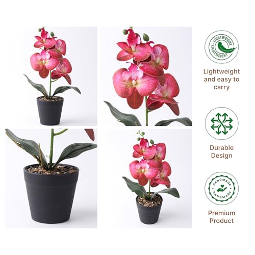 Image of Habere India-All the Cultures Fabricating India Red Orchid Artificial Plant with Pot for Home Decor | Small Fake Plant for Living Room & Indoor Decoration (Design05: L9 x W9 x H32 cm)