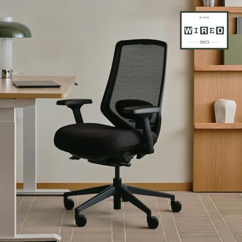 branch ergonomic chair pro