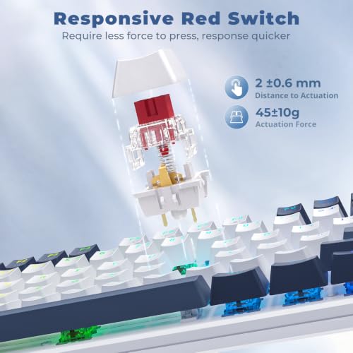 Image of Redragon Mechanical Gaming Keyboard Wired, 11 Programmable Backlit Modes, Hot-Swappable Red Switch, Anti-Ghosting, Double-Shot PBT Keycaps, Light Up Keyboard for PC Mac, Blue