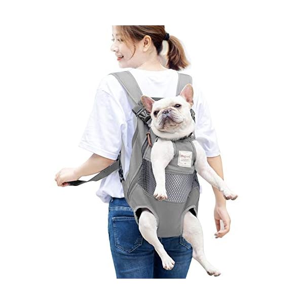 Dog-Carrier-Backpack-Legs-Out-Front-Facing-Pet-Carrier-Backpack-for-Small-Medium-Large-Dogs-Airline-Approved-Hands-Free-Cat-Travel-Bag-for-Walking-Hiking-Bike-and-Motorcycle Pawsome Adventures with Your Furry Friend - Dog Carrier Backpack