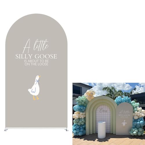 Ittsmnt Arch Backdrop Cover for One Silly Goose Baby Shower Arch Stand Stretchy Cover First Goose Kids 1st Birthday Party Fiesta Decorations (6.6x3.3ft Cover,004)