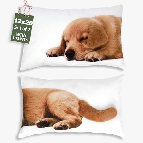 LUISOF Spring Lumbar Pillow Covers 12x20 Set of 2 Indoor Decorative Throw Pillows Inserts for Bed Sofa & Couch
