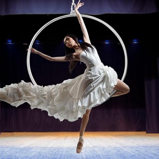LABIXIAOXIN Professional Aerial Hoop, Fully Strength Tested & Certified, 85cm Maximum Load 253lbs Aerial Hoop Set, Point Hoops,Yoga Equipment,for Fitness, Dancing, Performing.