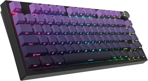Womier WK75 �Q�[�~���O�L�[�{�[�h�A75%���C�����X���J�j�J���ABT5.0/2.4GHz/USB-C�A�z�b�g�X���b�v�Ή��A���O�����ς݃��j�A�X�C�b�`�A�K�X�P�b�g�\���ARGB�o�b�N���C�g�A�g�|�O���t�B�b�N (�p�[�v��)
