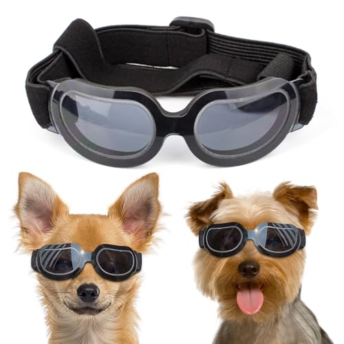 Namsan Stylish and Fun Pet/Dog Puppy