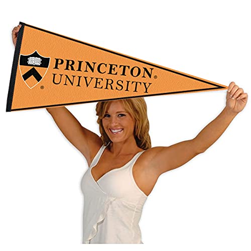 College Flags & Banners Co. Princeton Pennant Full Size Felt