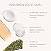 MDSolarSciences Gleam + Glow Sunscreen SPF 50 | Sheer Glow Tinted Moisturizer with Broad Spectrum UV Protection | Infused with Antioxidants, Ceramides & Vitamin C | Safe for Sensitive Skin (1.7 Fl Oz)