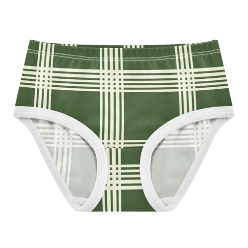 Green Stripe Toddler Girls's Underwear 2T 2300879