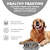 Outward Hound Fun Feeder Slo Bowl – Large 4‑Cup Capacity, Slow Feeding, Medium to Large Dogs, Non‑Slip, Gray, Drop Pattern