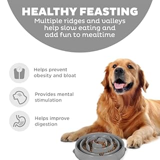 Outward Hound Fun Feeder Slo Bowl – Large 4‑Cup Capacity, Slow Feeding, Medium to Large Dogs, Non‑Slip, Gray, Drop Pattern