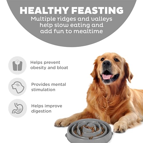 Outward Hound Fun Feeder Slo Bowl – Large 4‑Cup Capacity, Slow Feeding, Medium to Large Dogs, Non‑Slip, Gray, Drop Pattern, 11.75" by Outward Hound - Image 2