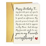 Qamza Romantic Birthday Card Gifts for Husband Wife Boyfriend Girlfriend Couple, Funny Love You Card, Happy Birthday Card For Lover Parther, You're My Favorite Everything!