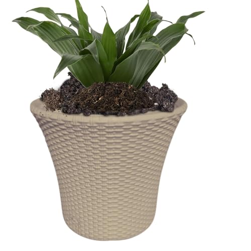 Image of Plastic Helex Planter Pot 10-inch Flower Pots for Garden Plant Container Pack of 4 (Beige)