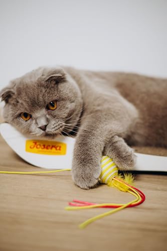 JosiCat-Sterilised-Classic-1-x-10-kg-Adult-Premium-Trockenfutter-fur-kastrierte-Katzen-mit-wenig-Fett-und-viel-Protein-Powered-by-JOSERA-Katzenfutter-Alleinfuttermittel-1er-Pack | Dealmeister.io Alt tag für bilder post titel