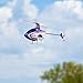 Blade RC Helicopter mCPX BL2 BNF Basic (Transmitter, Battery and Charger not Included), BLH6050