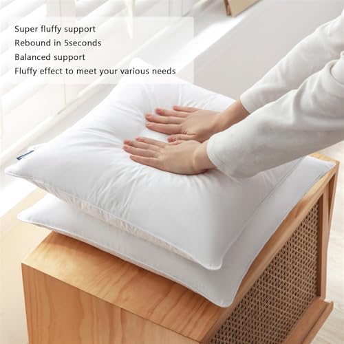 Throw-Pillow-Inserts-16-x-26-Pack-of-2-White-Down-Feather-Pillow-Stuffer-Premium-Decorative-Pillows-for-Sofa-Couch-Bed Throw Pillow Inserts 16 x 26 Pack of 2 White Down Feather Pillow Stuffer Premium Decorative Pillows for Sofa Couch Bed
