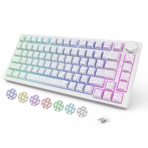 Wireless Mechanical Backlit Gaming Keyboard with Knob,Hot Swappable,White