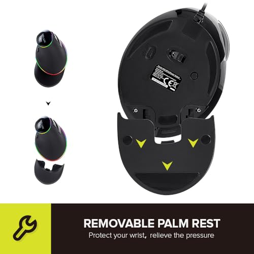 DeLUX Mouse Ergonômico RGB com Fio, Mouse Vertical Grande com 6 Botões Programáveis, Descanso de Pul