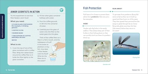 Fish for Kids: A Junior Scientist's Guide to Diverse Habitats, Colorful Species, and Life Underwater