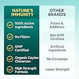 Berberine 1000mg HCL High Strength with Organic Ceylon Cinnamon 300mg – No Fillers - Dual Action Formula – Clean & Pure 2-in-1 Berberine Supplement – 90 Vegan Capsules - Image 6