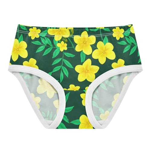 Summer Flowers Floral Plant Green Toddler Girls's Underwear 2T 2302909