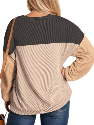 Image of DOLNINE Plus Size Tops for Women Long Sleeve Color Block Ribbed Knit Tunic