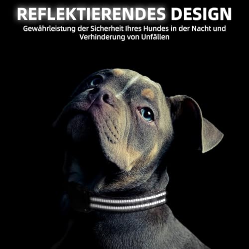 JIARUI Tracker Hund, Mini GPS Tracker Hund Ohne ABO für Hunde, Arbeite mit Apple Find My, (nur IOS) mit wasserdichte Reflektierendes Halsbänder, Hunde Tracking Ausrüstung (1 Pack)